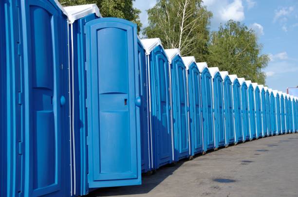 Best Temporary restroom rental  in Linden, MI